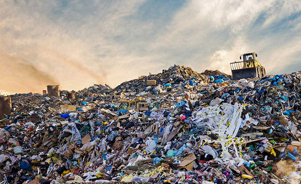 Read more about the article The recycling crisis: Learn how to do it right